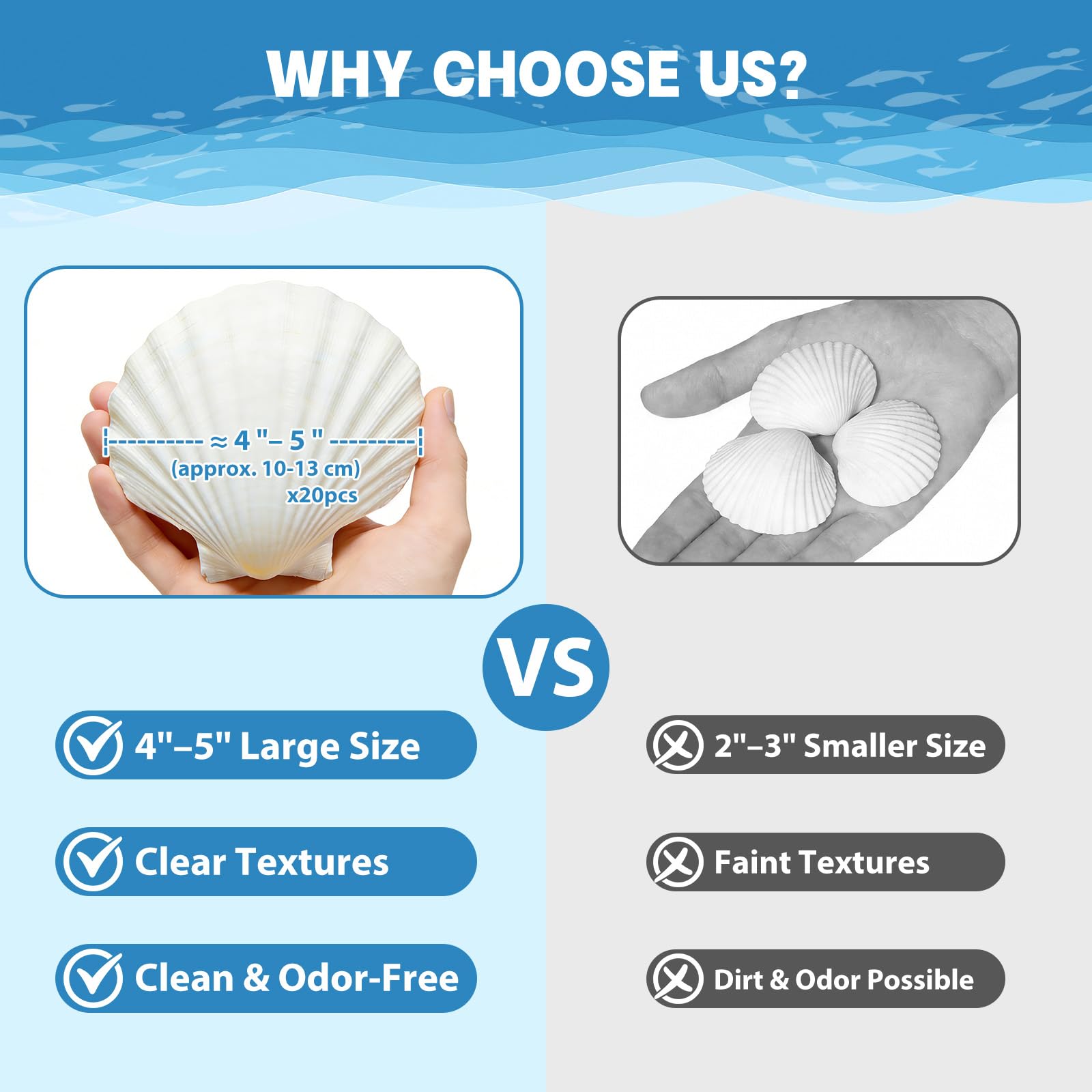 Conchas de vieira grandes de 4 a 5 pulgadas para manualidades, conchas marinas naturales para manualidades, conchas blancas a granel para decoración de pintura, suministros de fiesta