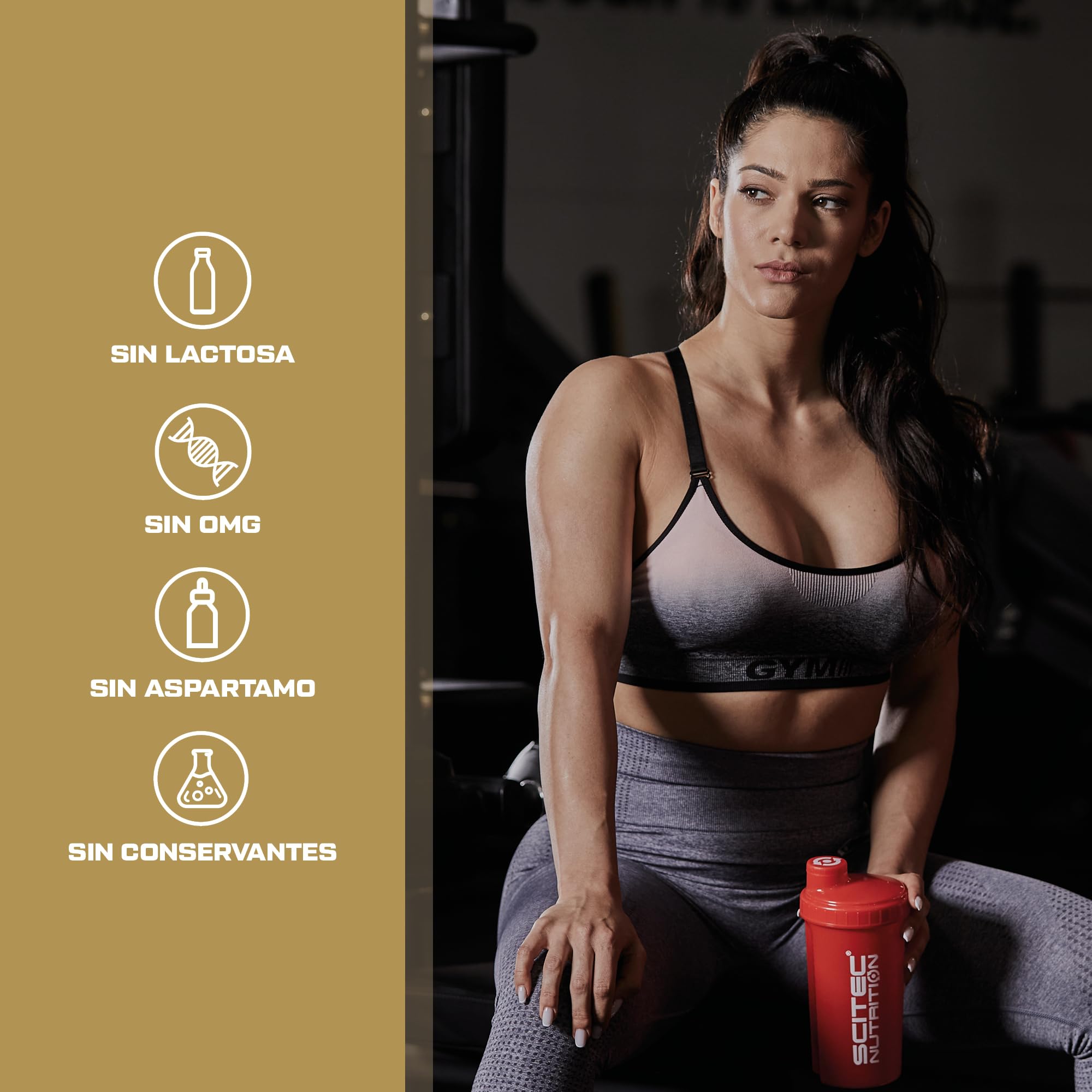 Scitec Nutrition Hyper Carnitine - 1000mg de Acetil L-Carnitina para un suplemento activo de L-Carnitina Beneficios, 120 Capsulas