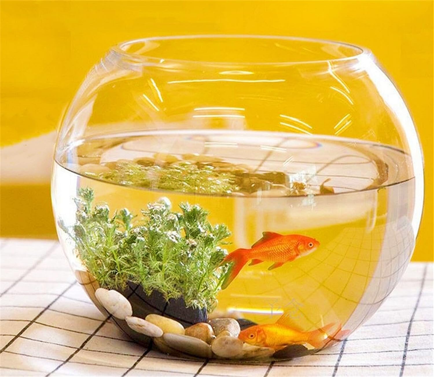 Amazon | 金魚鉢 ガラス 丸 金魚 水槽 小さい メダカ水槽 飼育水槽