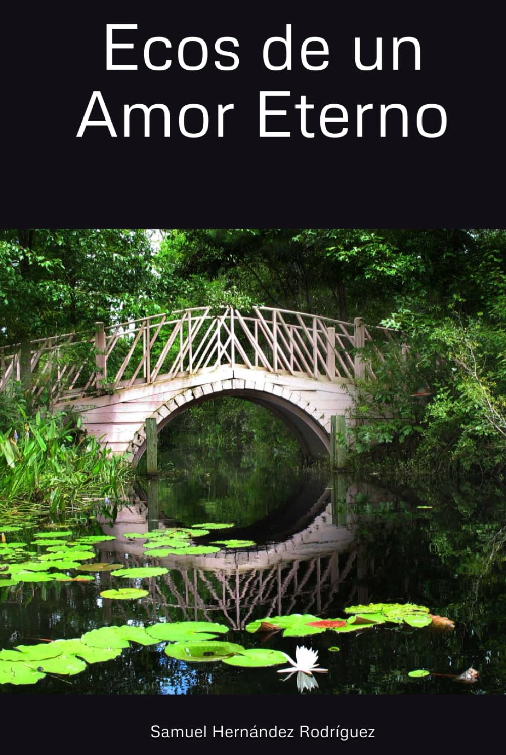 Ecos de un Amor Eterno
