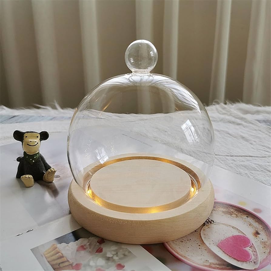 ガラスドーム　ガラスケース　木製台 コレクションケース ガラスドーム ガラスケース 木製台 コレクションケース ガラス