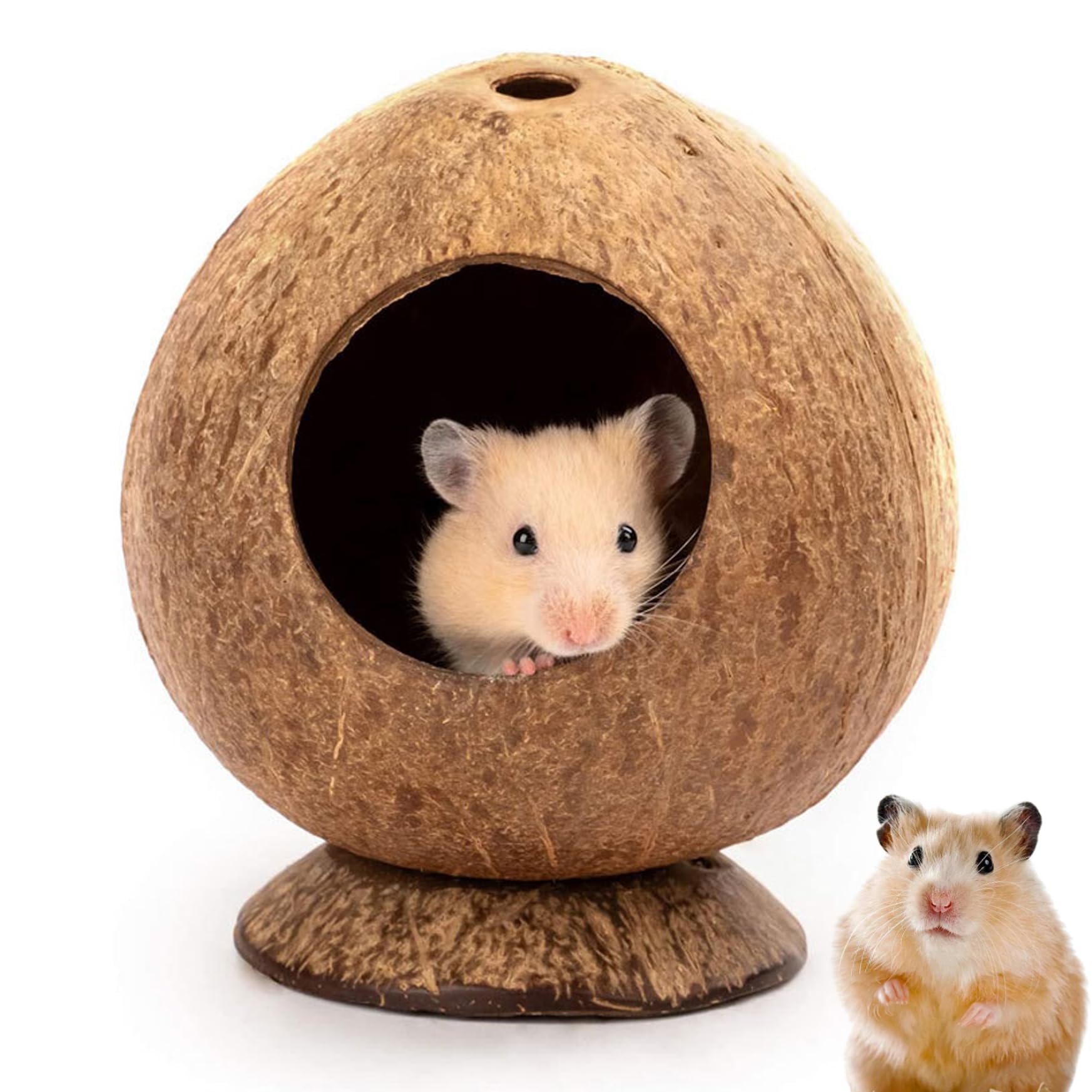 JZLEJC Hamster Hut Hamster House 5.3x4.7in Coconut-Shaped Hamster Hide with Stable Base & 2.2in Hole Natural Breathable Hamster Hideout Decorative Restful Hamster Hut for Hamster Cage