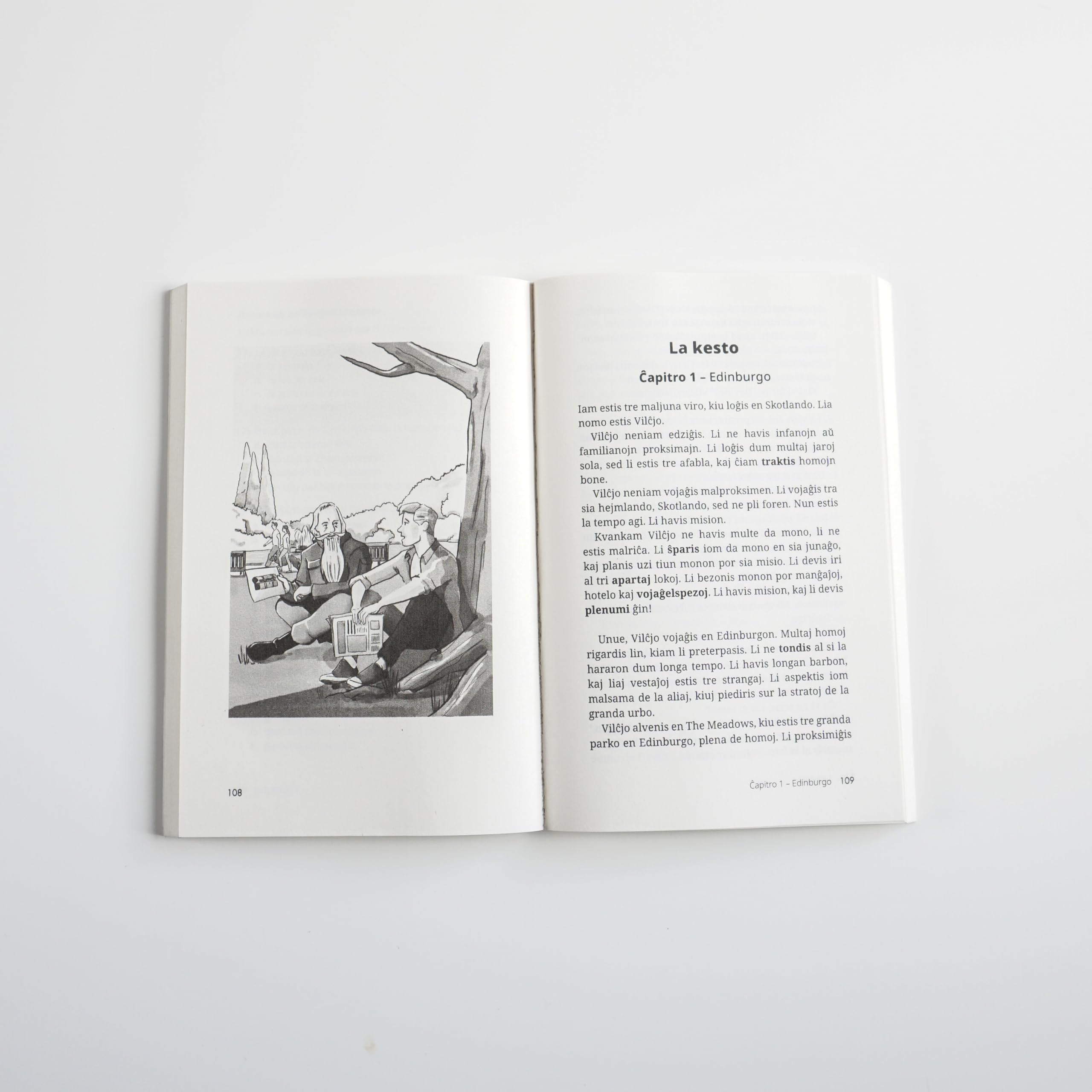 Short Stories in Esperanto for Beginners: Read for Pleasure at Your Level, Expand Your Vocabulary and Learn Esperanto the Fun Way!