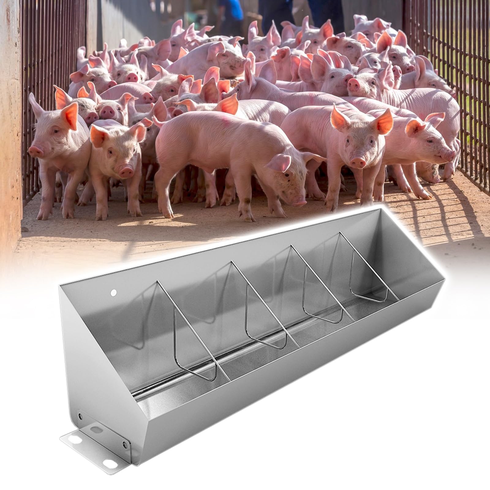 Comederos para cerdos de alta resistencia con capacidad para 5, 8 o 10 animales