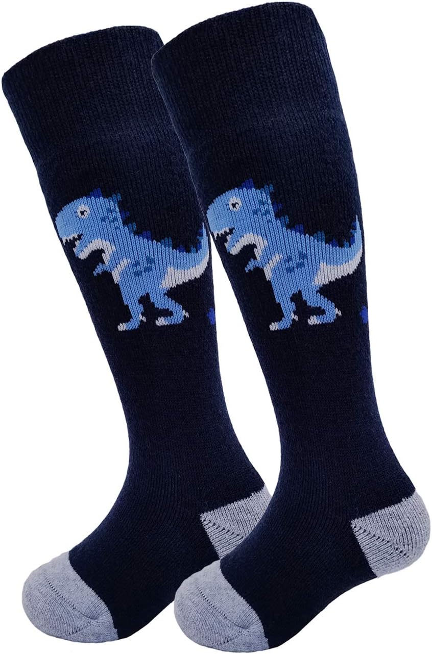 HIGHCAMP 2 Pairs Kids Merino Wool Ski Snowboard Socks Boy Girl Toddler Winter Snow Socks