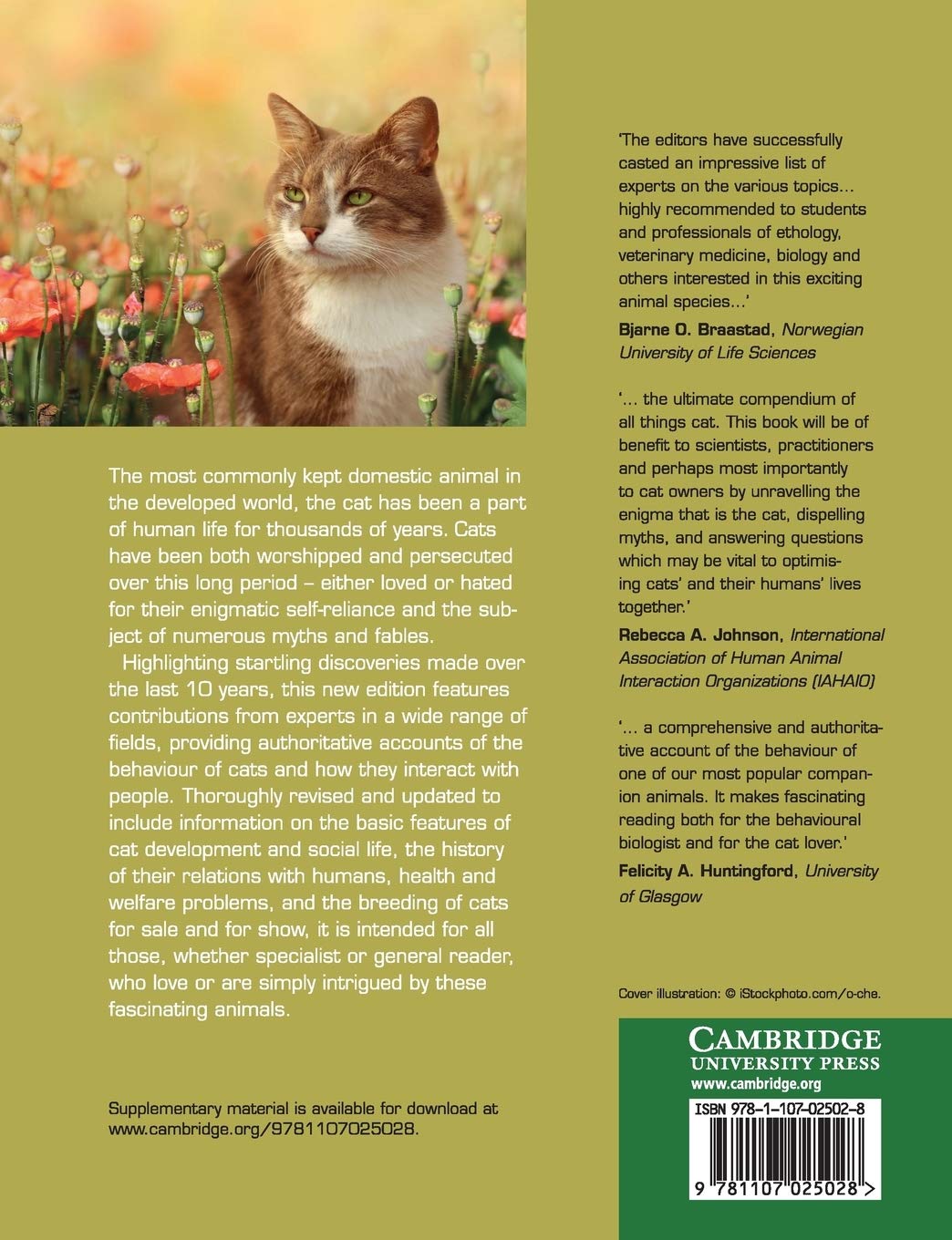 The Domestic Cat: The Biology Of Its Behaviour