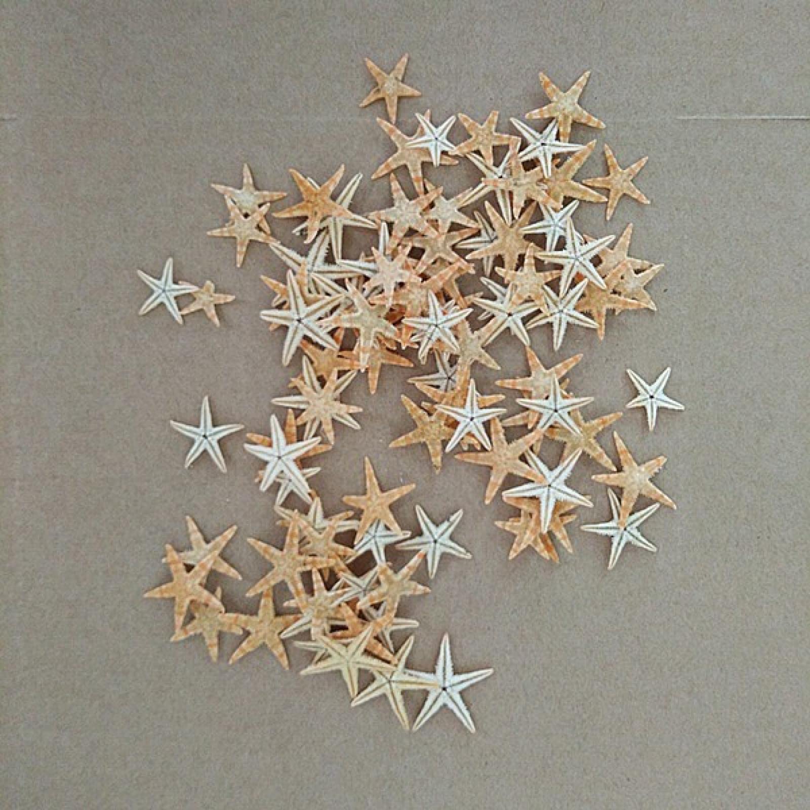 Coquillages de mer décoratifs pour cadeaux d'invités et compositions de mariage