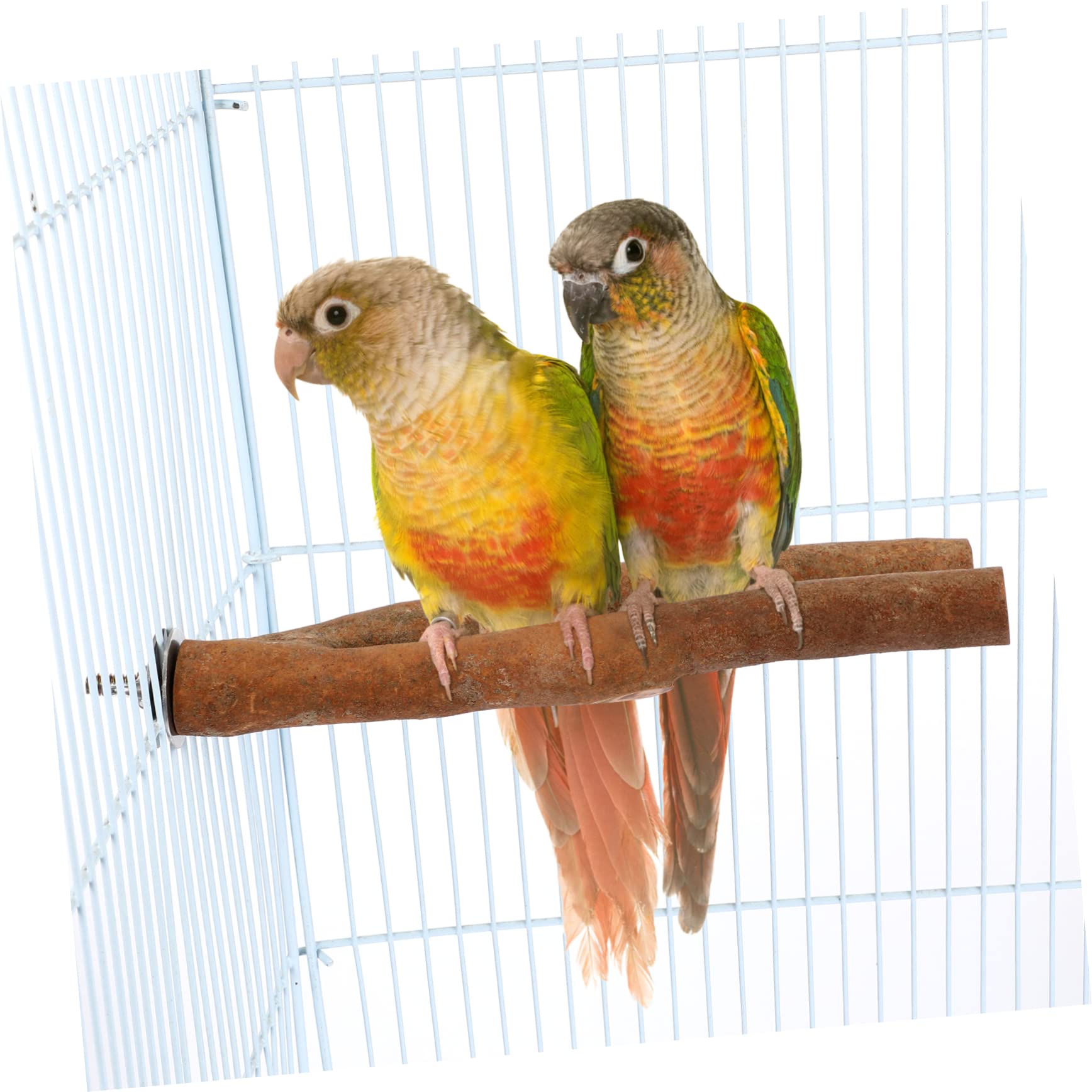 Vogelstangen mit Plattform und Landeflächen aus Natürlichem Holz 7 Stück Vogelsitzstangen für Wellensittiche Nymphensittiche und Finken im Vogelkäfig