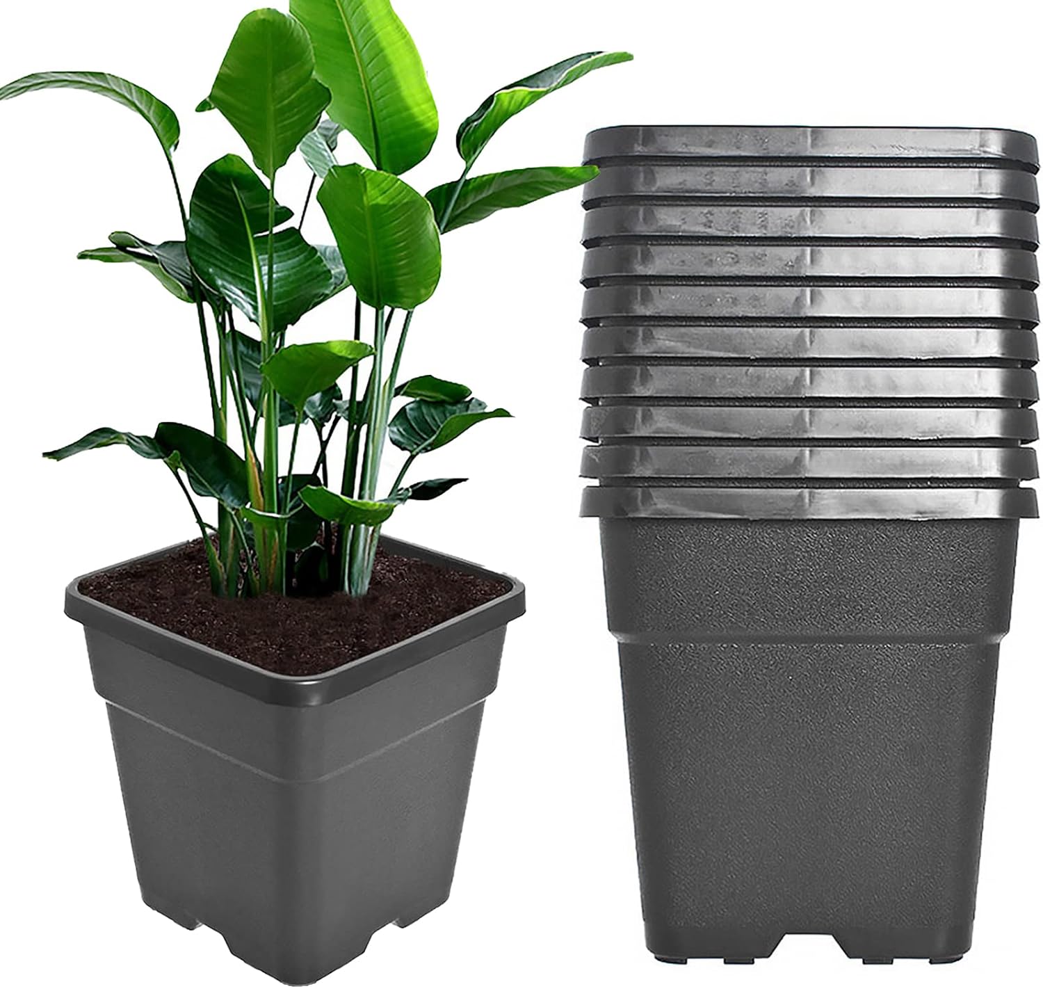 Outdoor Plastic Planter Nursery Pots - 10 Pcs 10 Gallon Round Black Nursery Pots for Plants with Drainage Hole