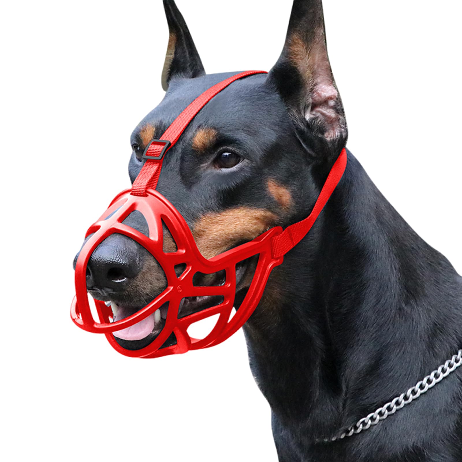 con una Resistente Cesta de plástico for el bozal, el Perro Puede jadear, Beber y Entrenar. Ideal for Salidas, Paseos y Otras Actividades.,Bozal para Perro(Red,M)