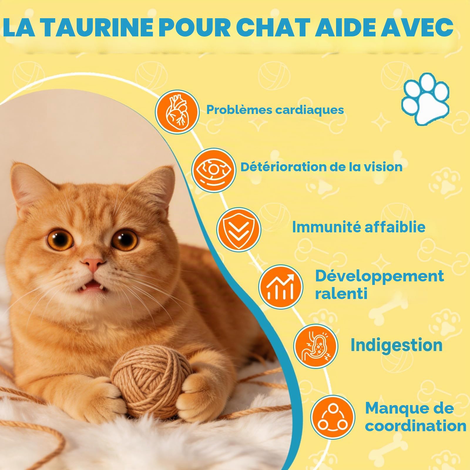 Taurine pour Chats Cardiaque Vision L'éNergie Vitalité Immunitaire 60ML | Coenzyme Q10, L-Carnitine, L-Arginine & Vitamines, Taurine Liquide Pour Chats, CompléMent Taurine Pour FéLins