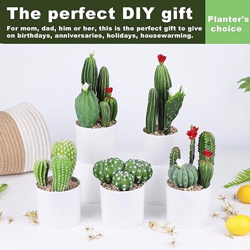 Miniatura 6 de Cactus artificial de flores artificiales, suculentas, planta suculenta falsa de 9.8 pulgadas para decoración de escritorio, hogar, oficina, 1 unidad