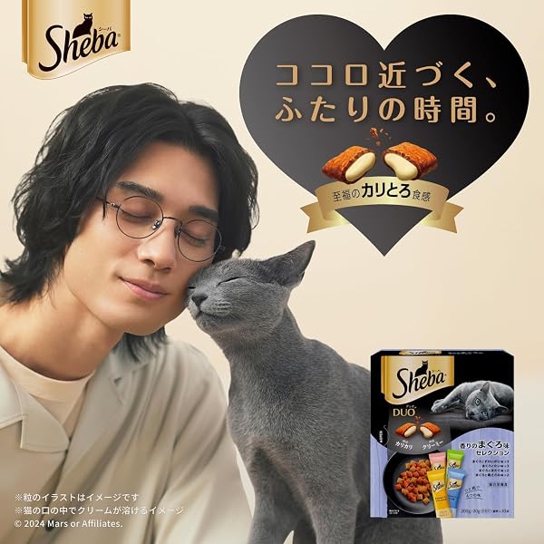 シーバ デュオ 成猫用 4種バラエティ とろける気分セレクション 200g(20g×10袋)×4箱 ドライフード おやつ カリカリ 総合栄養食 キャットフード 猫 Sheba DUO 小分け 小袋 まとめ買い - 2