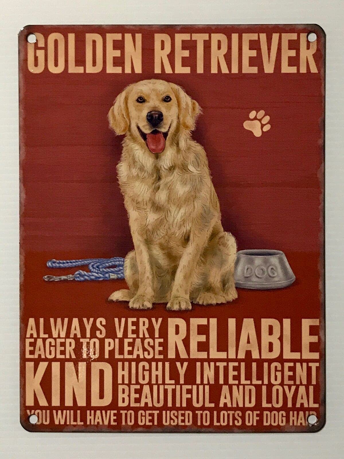 Kueprae A117 Golden Retriever - Tin Metal Sign Wall Decor 8X12 Inch