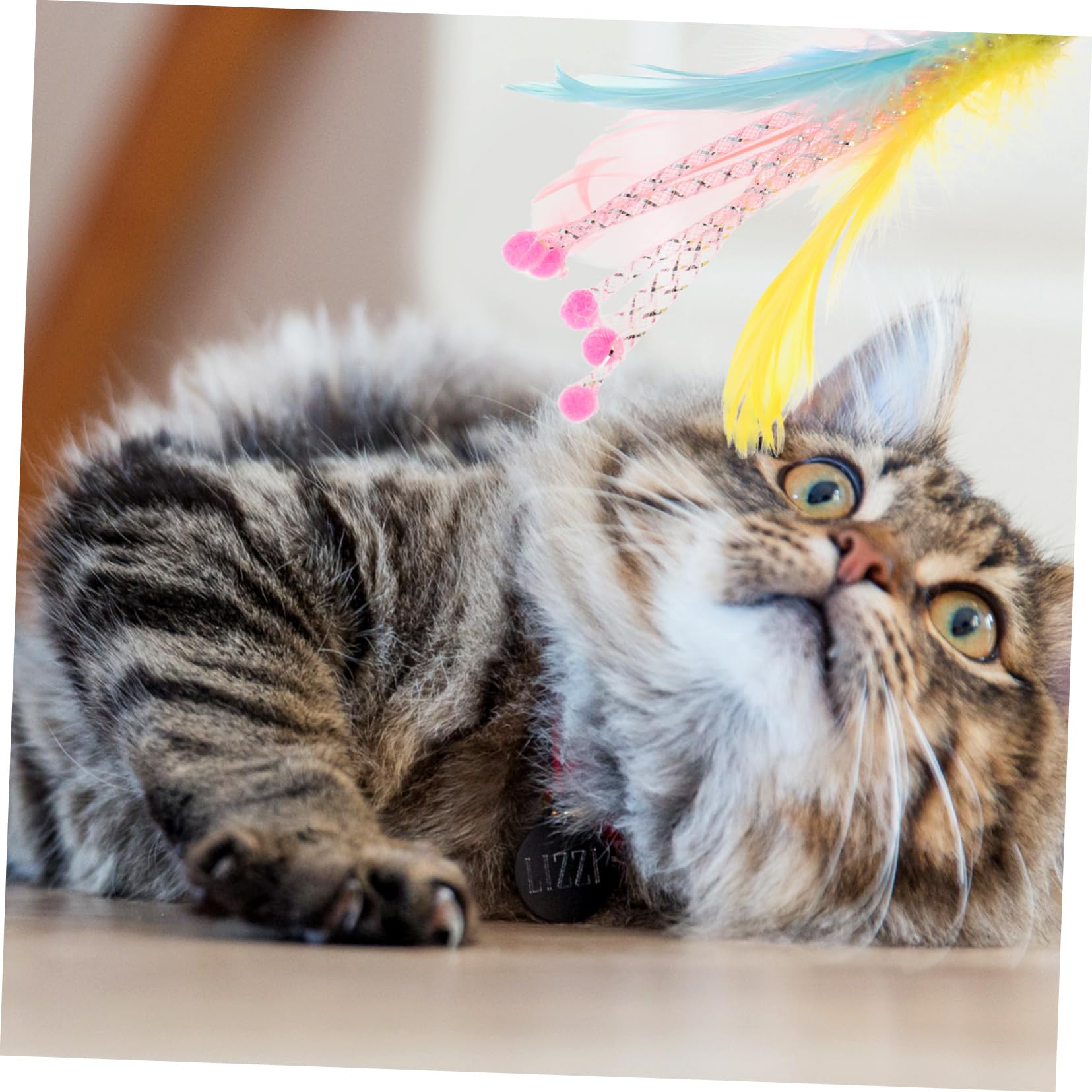 Kisangel 40pièces Jouets Plume pour Chats Canne à Interactive Remplacement De Jouets pour Chats Stimule Exercice Comportement