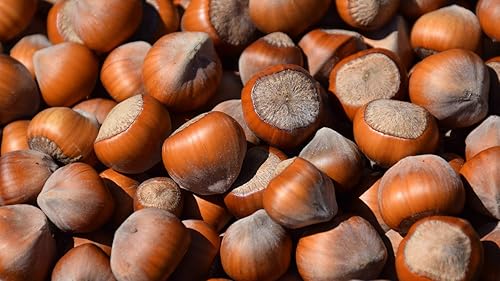 Miniatura 6 de Bombones de chocolate con avellana, caramelo con trufa blanca y negra, 20 bombones en caja de regalo para cumpleaños, San Valentín, Navidad, Día de