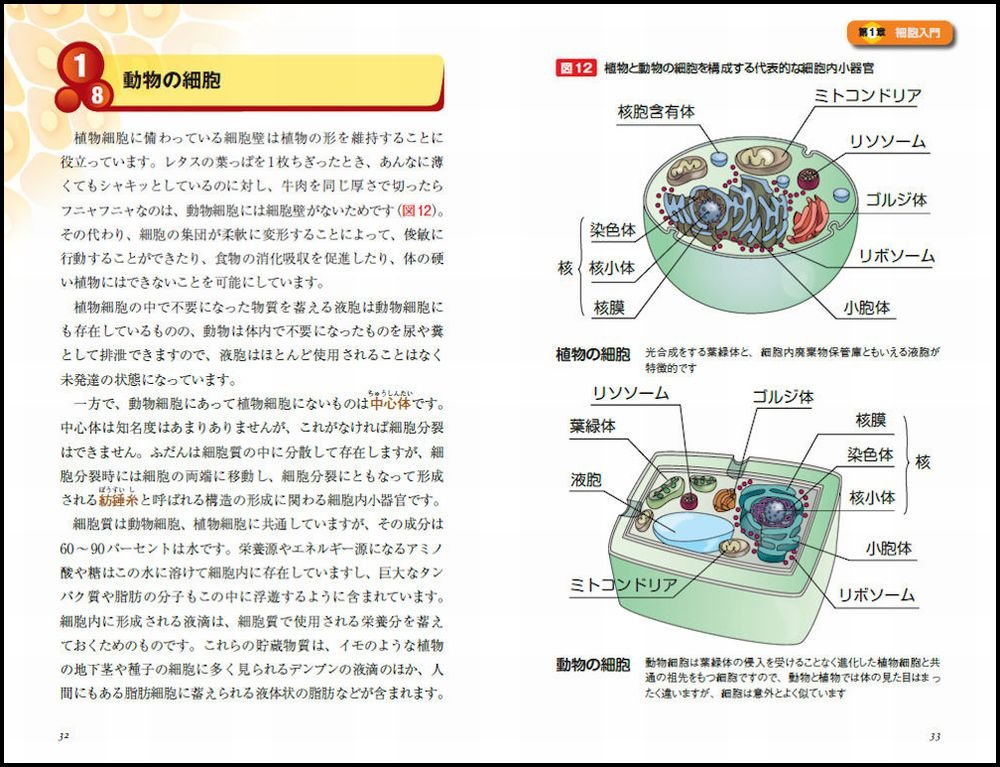 カラー図解でわかる細胞のしくみ 人間も動物も植物も 生物はすべて細胞の集まり サイエンス アイ新書 中西 貴之 本 通販 Amazon カラー図解でわかる細胞のしくみ 人間も動物も植物も 生物はすべて細胞の集まり サイエンス アイ新書 中西 貴之 本 通販 Amazon