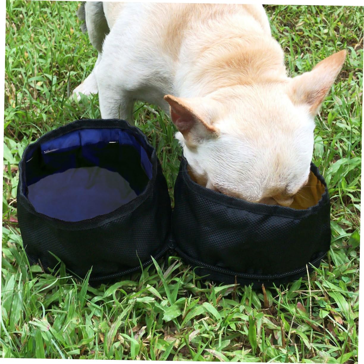 YARNOW 3 Pièces Gamelle pour Chat Bols Pliants Distributeur De Nourriture pour Animaux Costume De Gamelle Extérieure pour Fournitures pour Animaux Voyage Poche