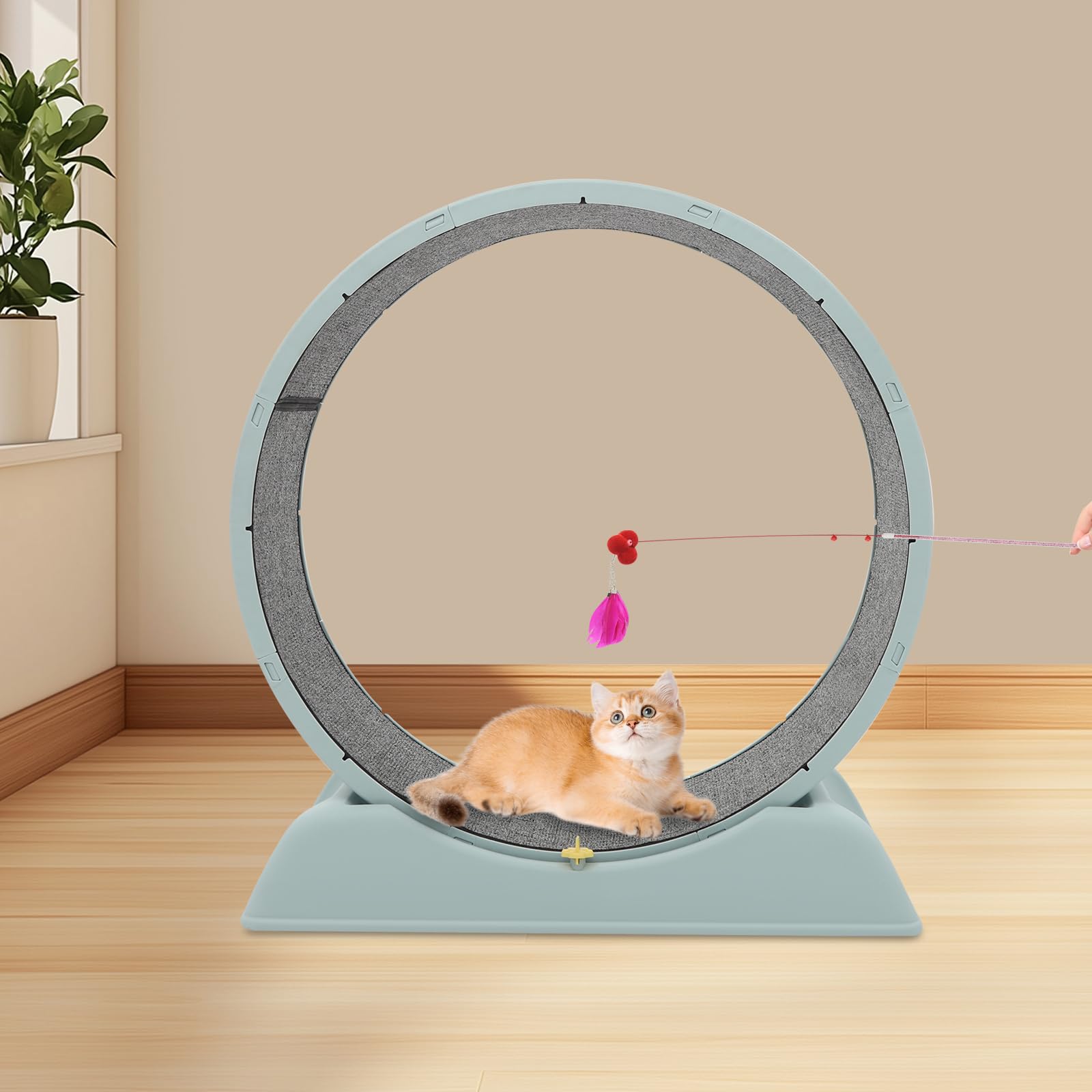 Rueda para gatos, rueda de correr para gatos, rueda silenciosa para gatos con hebilla de seguridad, cinta de correr interior con alfombra para correr y rascar, rueda para gatos, 80 cm de diámetro