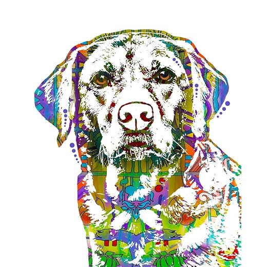 Colorama Labrador Dean Russo signed, fine art print direct from the studio