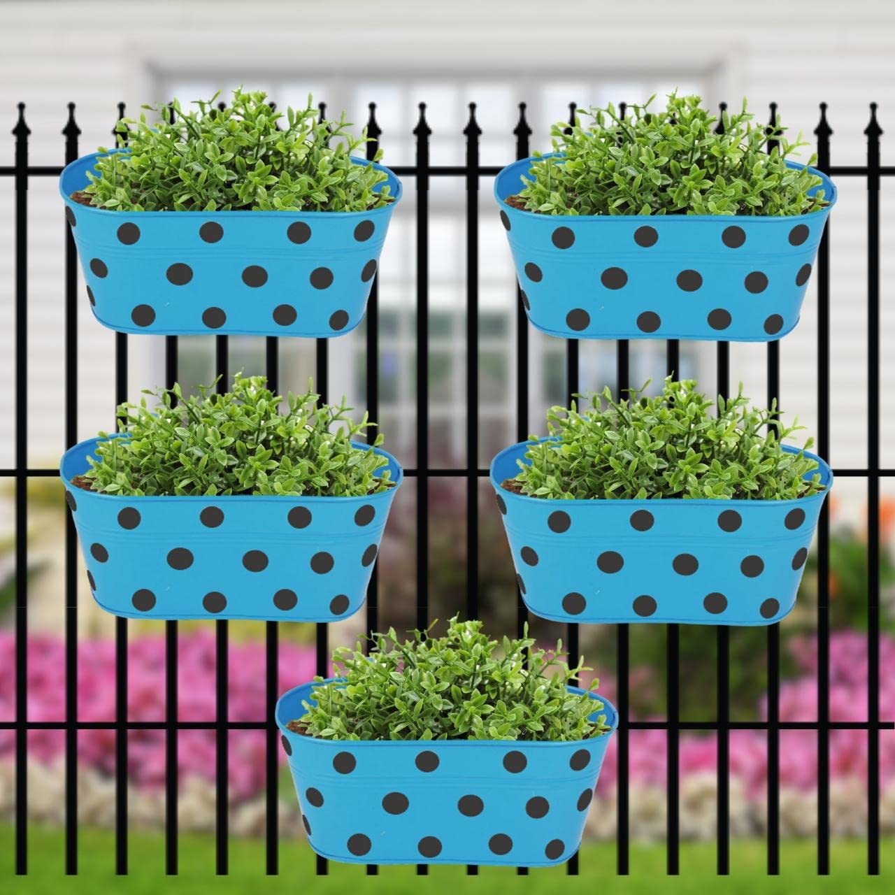 ecofynd Metal Poppy Oval Polka Dot Balcony Railing Planter with Detachable Handle (Lilac, 12x6x5) - Pack of 5 (B07GFMFLNT) Amazon Price History, Amazon Price Tracker