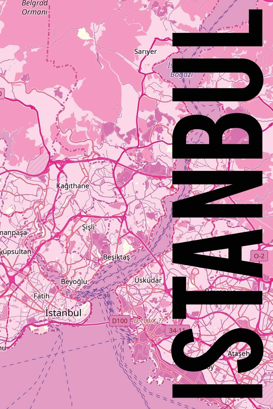 Istanbul: 6x9 blank lined journal