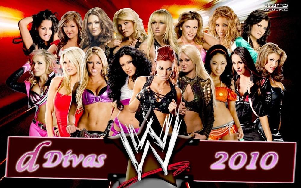 2441 WWE Divas Poster Wrestling Sexy Babe Poster 24x38 inches Print on Canvas