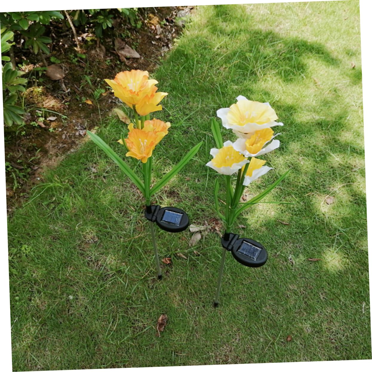 BCOATH Waterproof Solar Led Daffodil Flower Stake Lights 2 Pack Outdoor Garden Lights for Landscape Lawn Patio Yard Decor