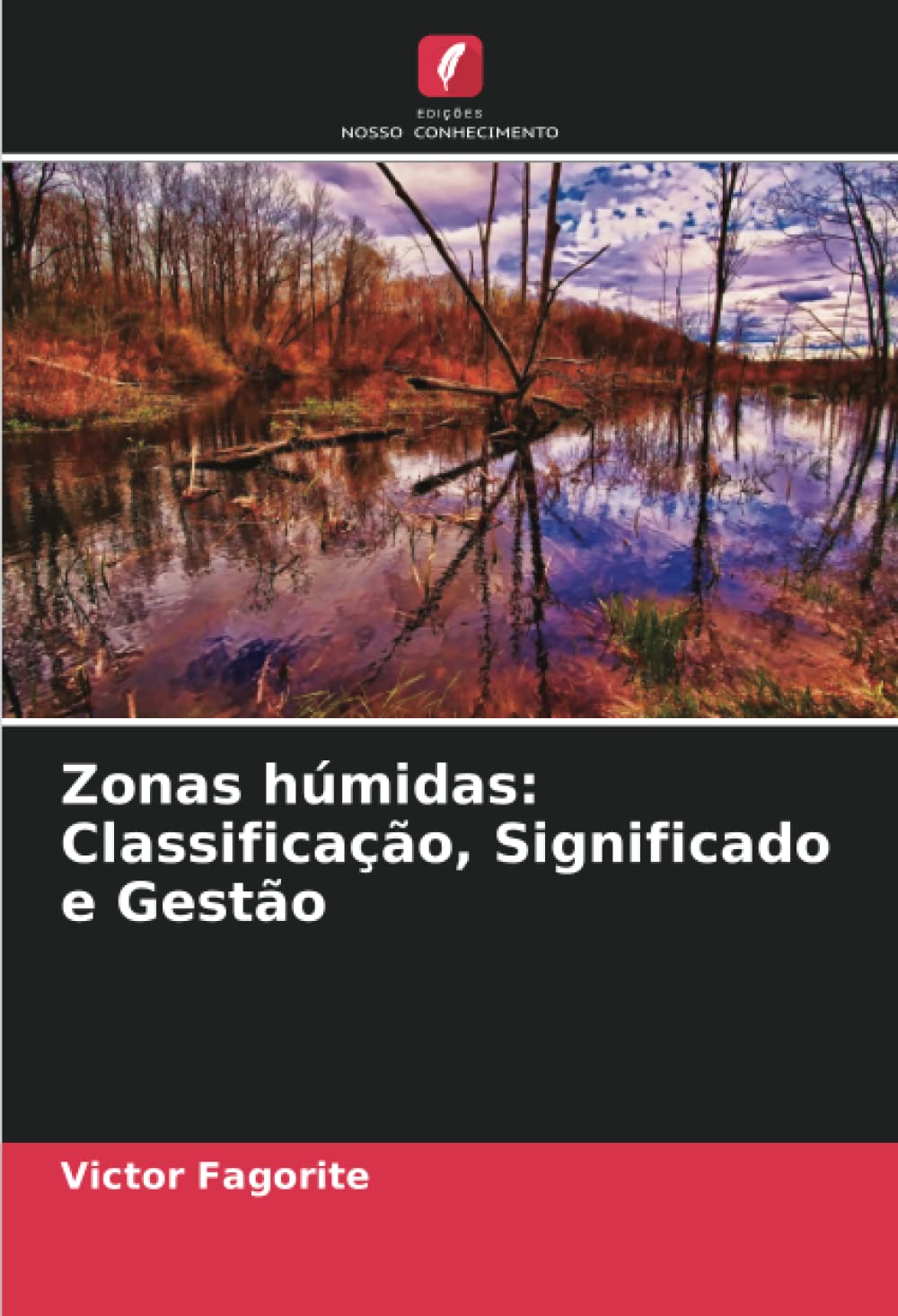Buy Zonas húmidas Classificação, Significado e Gestão Book Online at