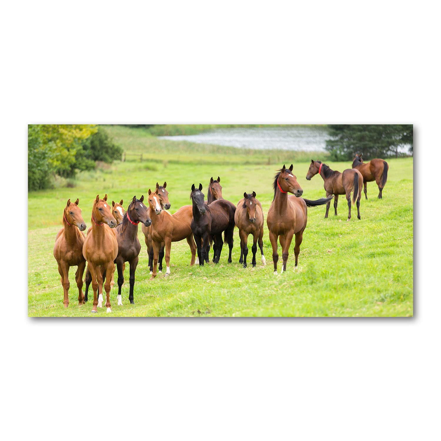 Tableau panoramique de chevaux sauvages en prairie de 120x60cm pour salon