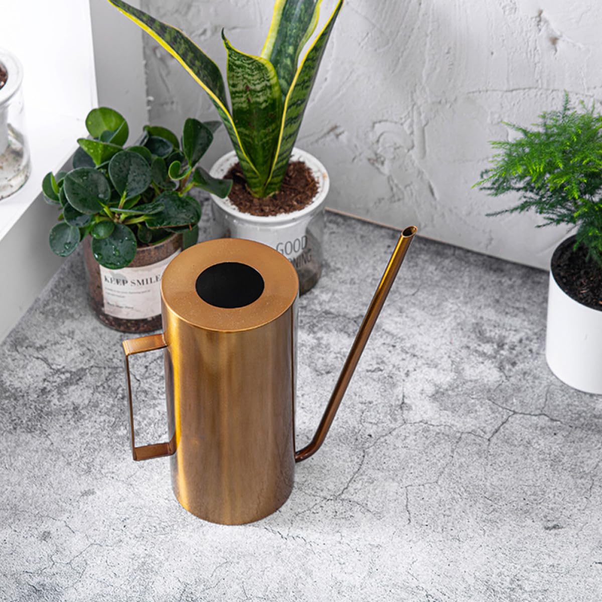 Arrosoir Acier Inoxydable pour Jardin Pulvérisateur Multifonctionnel Capacité pour Plantes Dintérieur et Extérieur Buse de Pulvérisation pour Entretien Fleurs