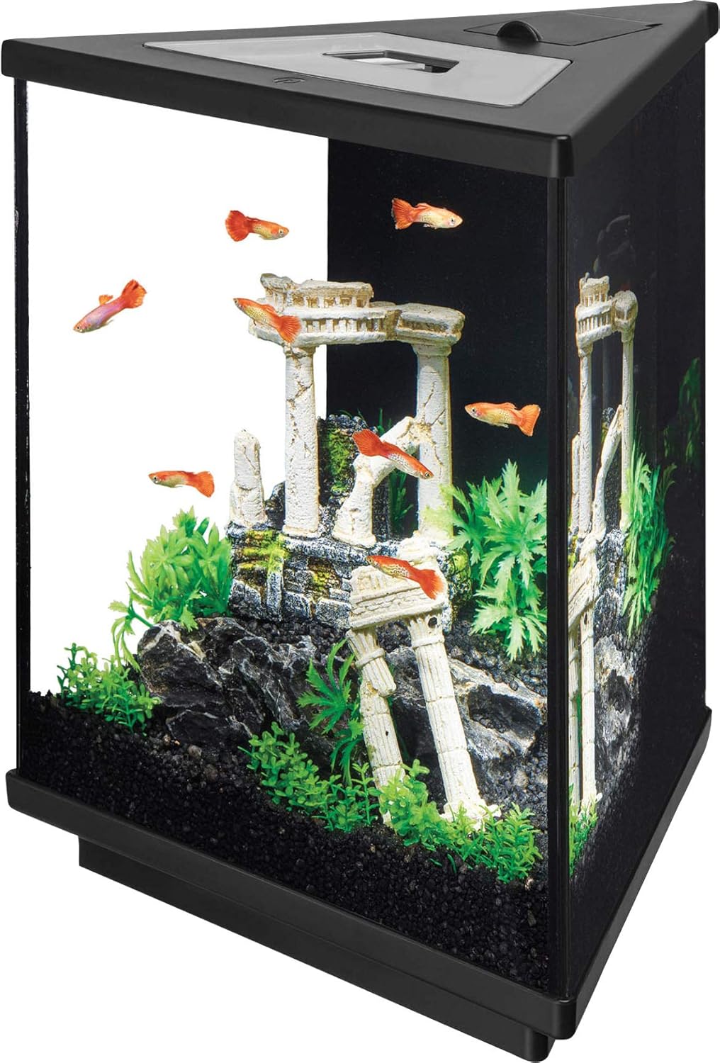 triangle fish tank