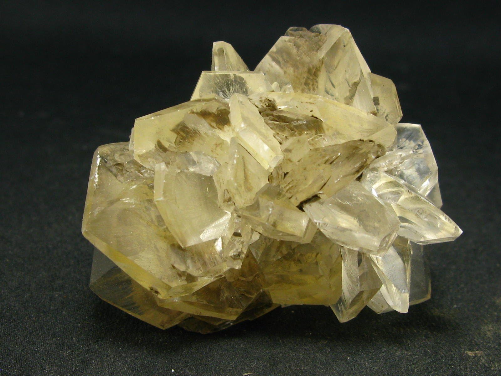 Gypsum Rose Crystal From Manitoba Canada - 1.7"