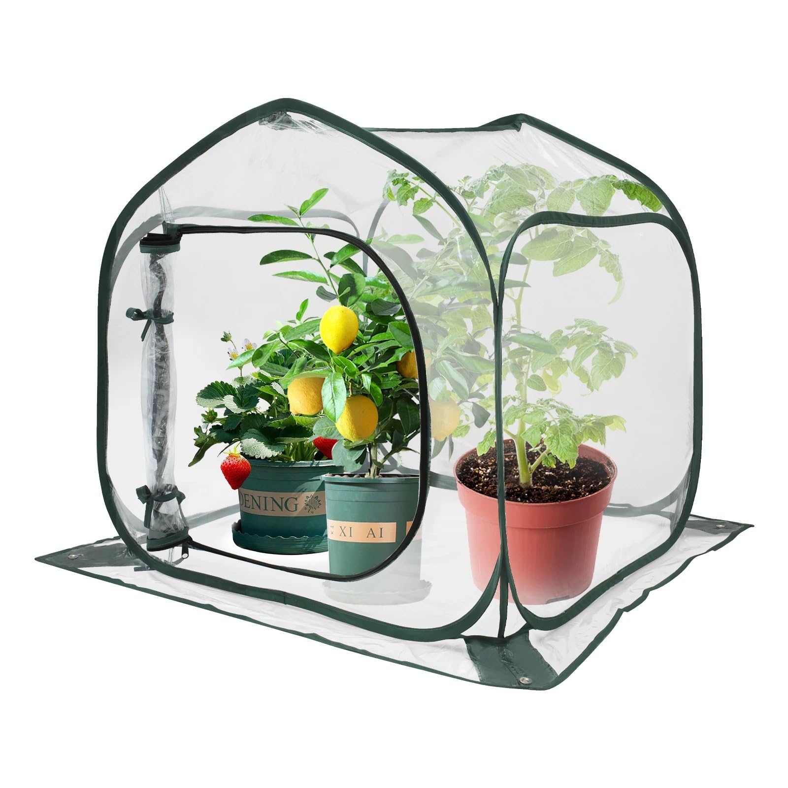 GewäChshaus Treibhaus Tomatenhaus Gewächshaus for Indoor Outdoor Transparent Faltbare Anlage Große Raum Wärme Erhaltung wasserdichte Blumen