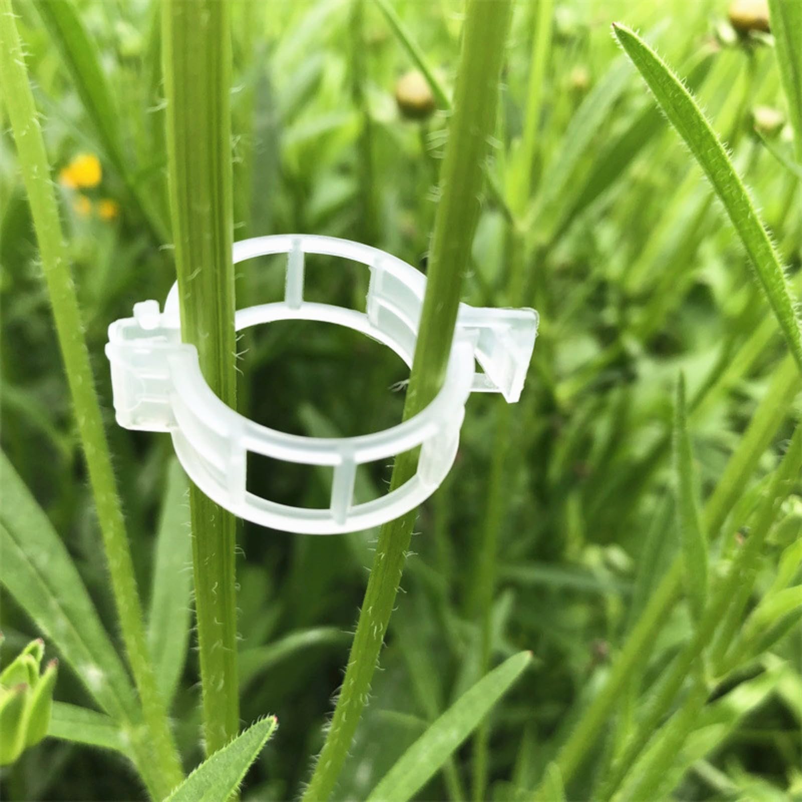 Pflanzenclips, 2025 Neuestes Pflanzenklammern Tomaten Rankhilfe, Secured Plastic Plant Clips,tomaten rankhilfe,pflanzenclips für kletterpflanzen,banana clip,orchideen klammern,tomaten rankhilfe,