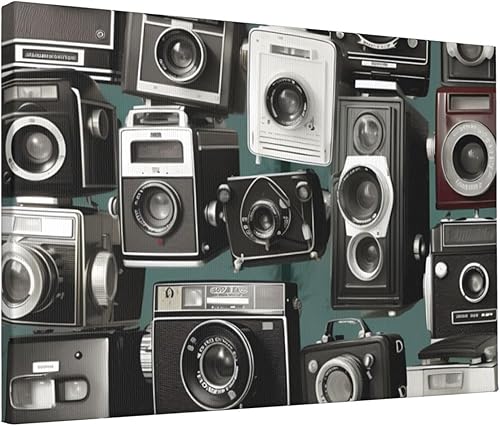 Miniatura 8 de RLDOBOFE Lienzo decorativo de pared para dormitorio, colección de cámara retro y fresca, decoración de pared abstracta para sala de estar, pinturas