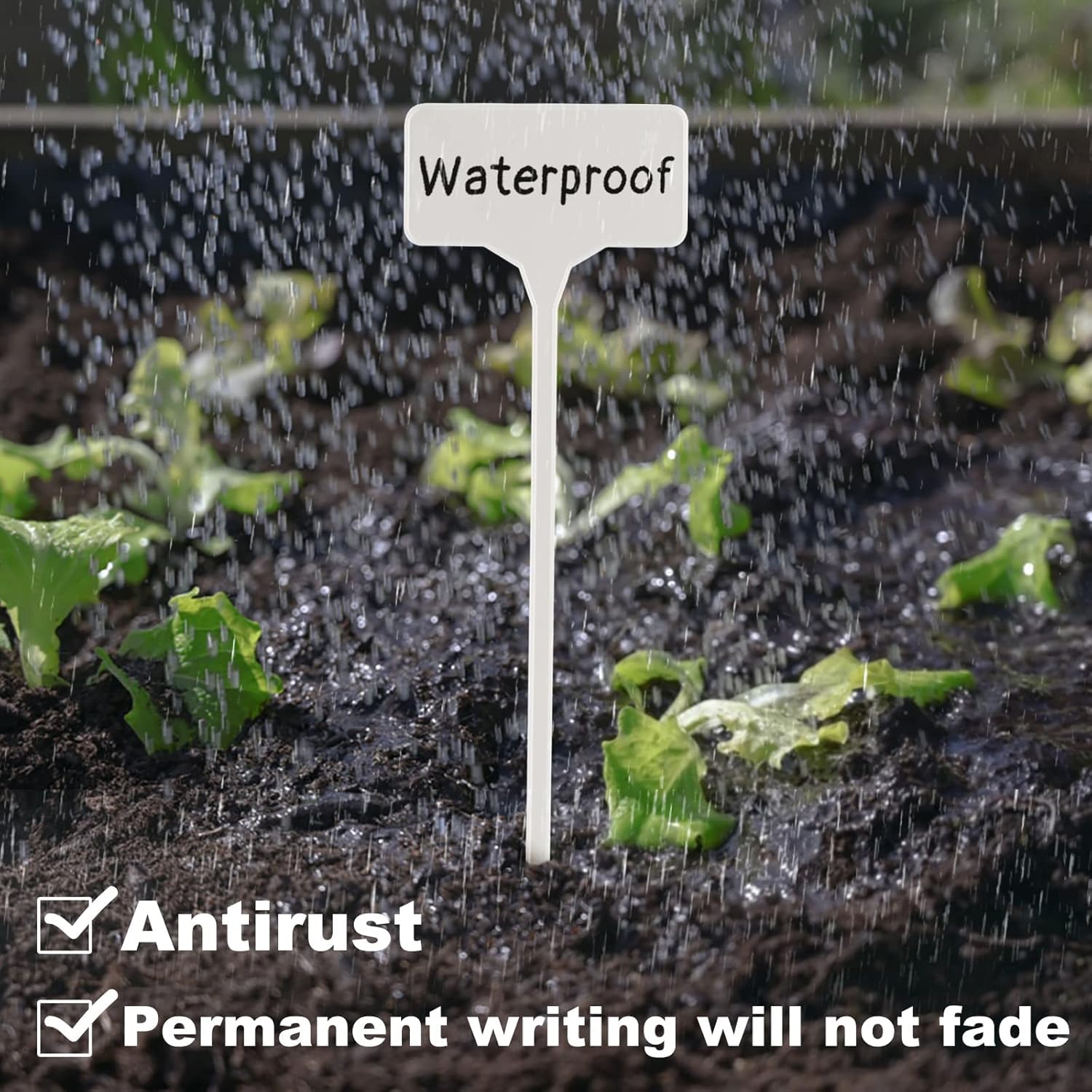 Plastic Plant Markers - Organize Your Garden -4 Plastic Plant Markers - Organize Your Garden -4