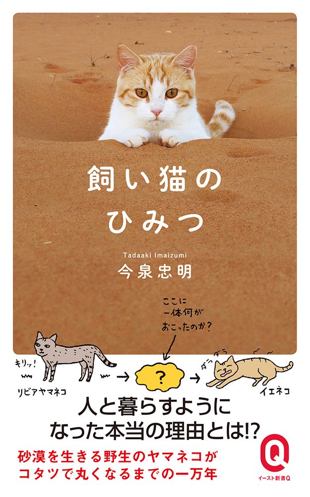 飼い猫のひみつ (イースト新書Q) | 今泉忠明 |本 | 通販 | Amazon