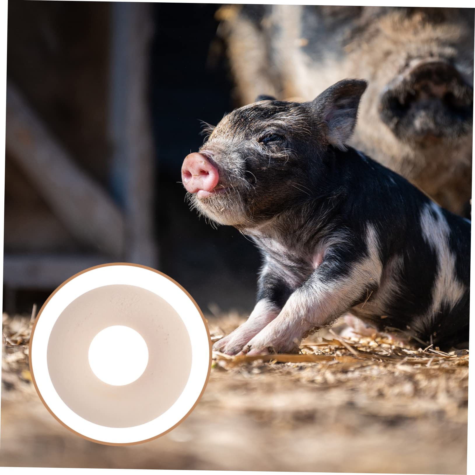 Castration Ring)Anneau De Castration En Caoutchouc, Fournitures Pour Le Bétail, Cochon, Mouton