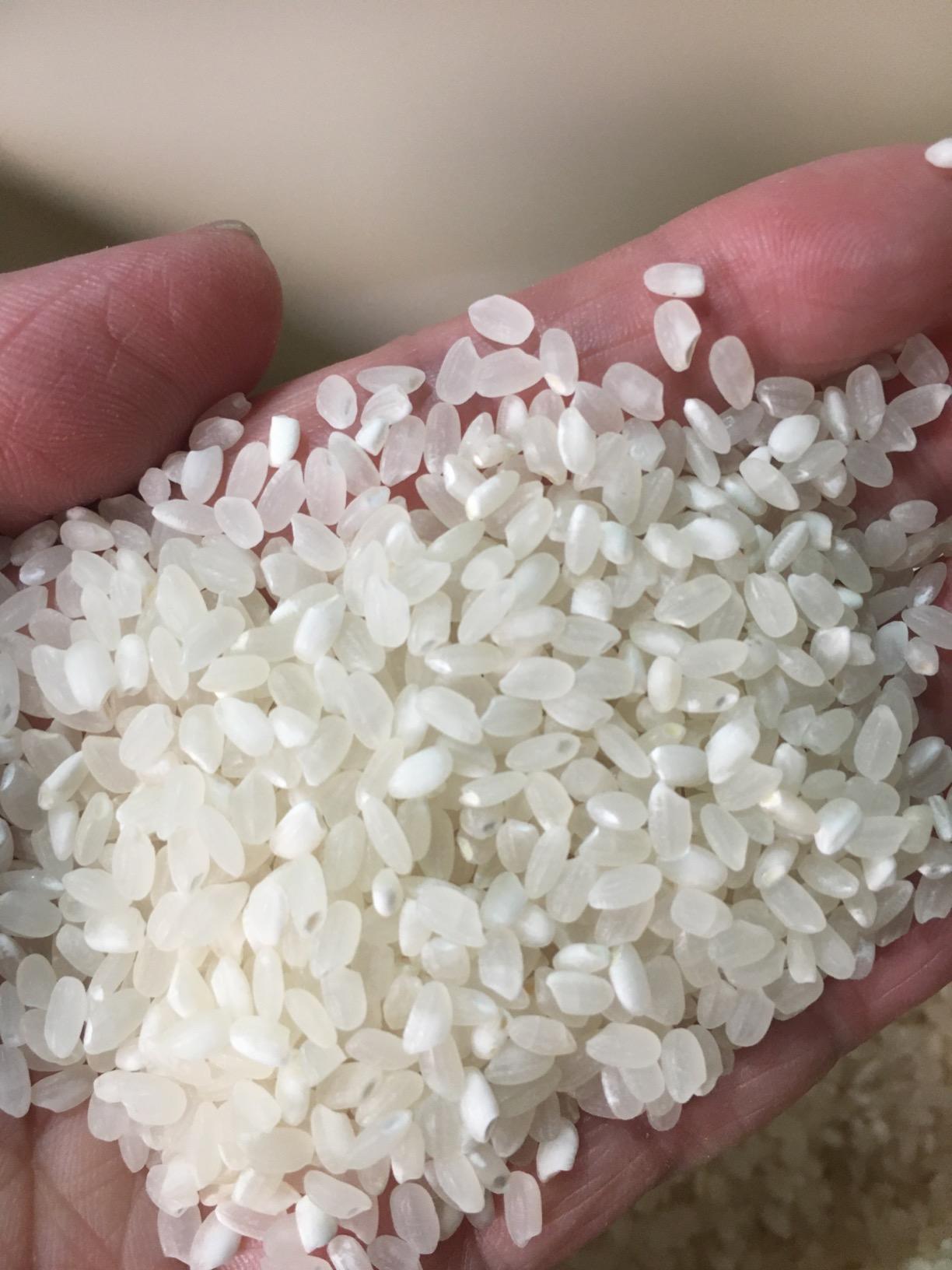 Amazon.co.jp: 【精米】 米 5kg 米屋仕立て 白米 国内産100% 黄金比ブレンディングシリーズ : 食品・飲料・お酒