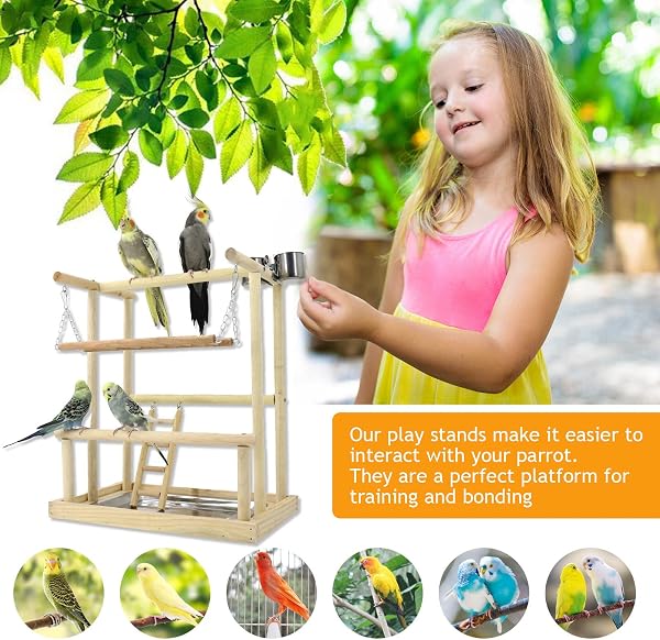 Holzsammlung Parrot Playground - Stand with Ladder & Perch for Small Birds - 2