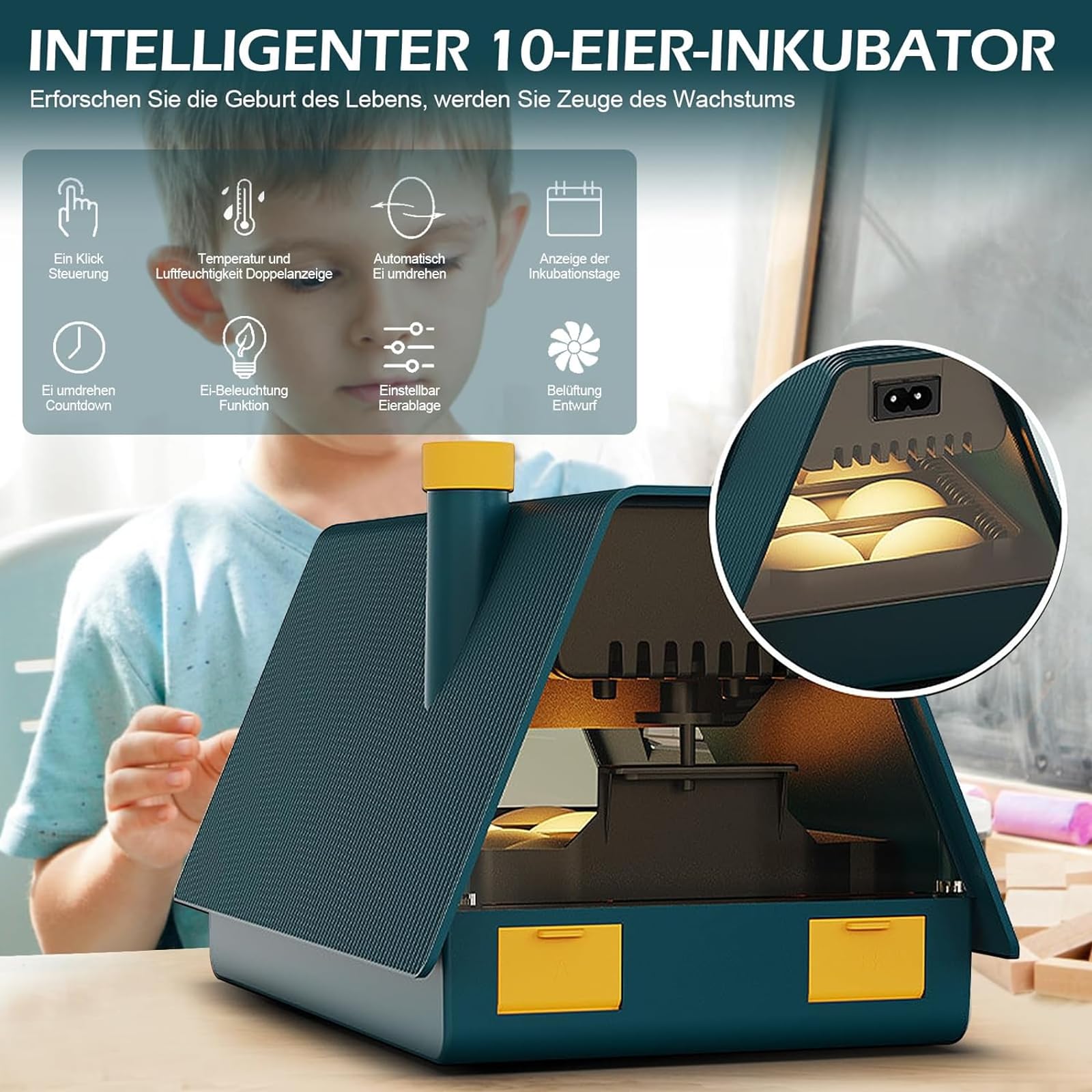 Incubatrice completamente automatica, incubatrice automatica per uova di design per piccole case, incubatrice per 10 uova, con illuminazione a LED e controllo della temperatura e dell'umidità