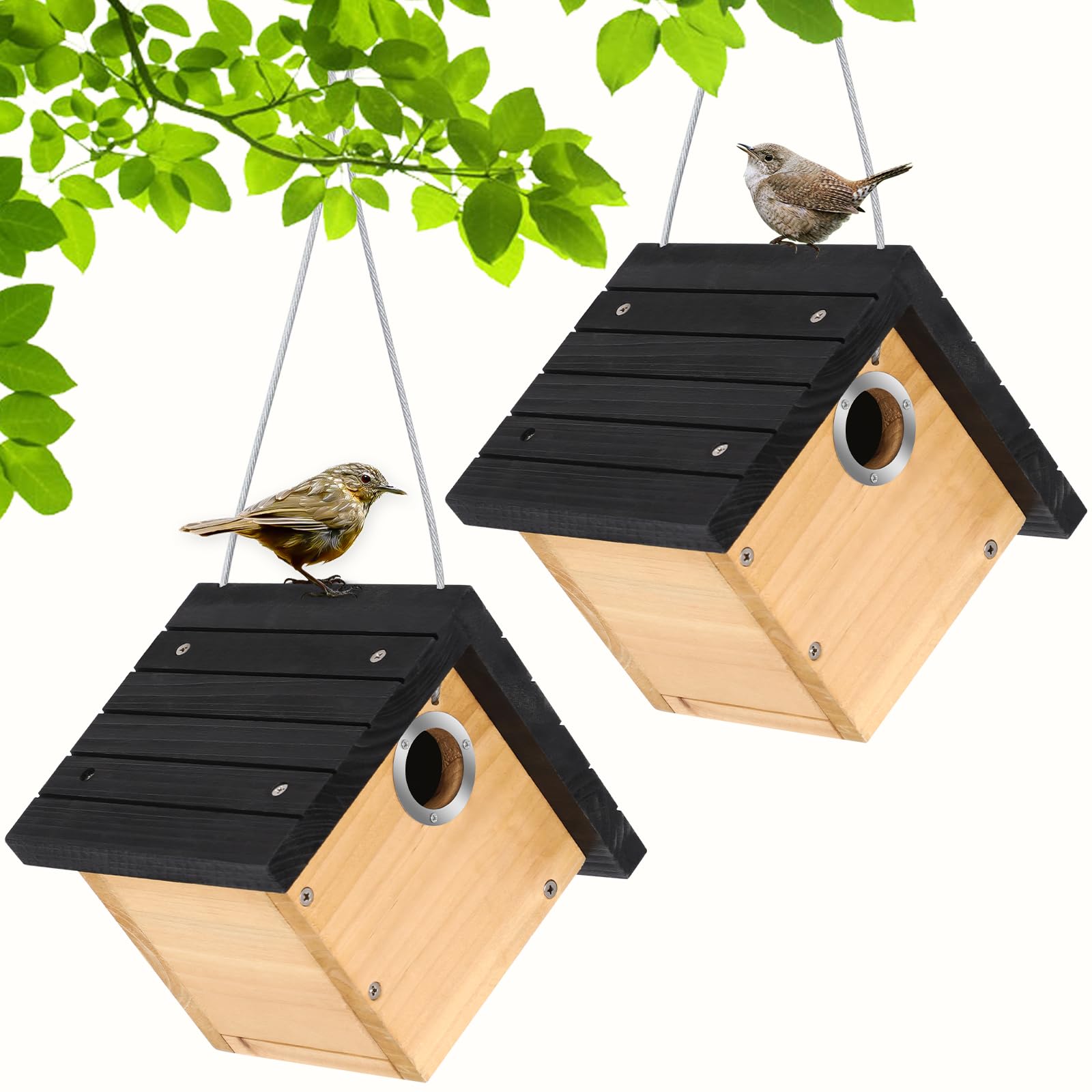 Gtongoko Wren Bird House 2-Pack
