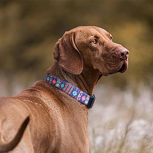 Miniatura 2 de QQPETS Collar suave ajustable para perro Estampado de flores rosadas, multicolor, lindos patrones para especies pequeñas, talla XS, especies