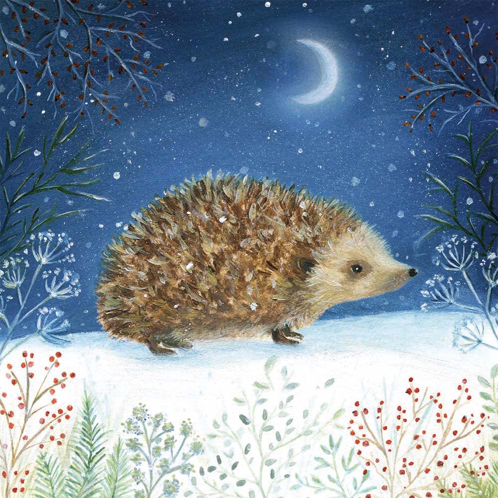 Museums & Galleries Pack of 20 Artistic Charity Christmas Cards, Woodland Animals, Lovely Illustration of a Winter Scene - Image 4