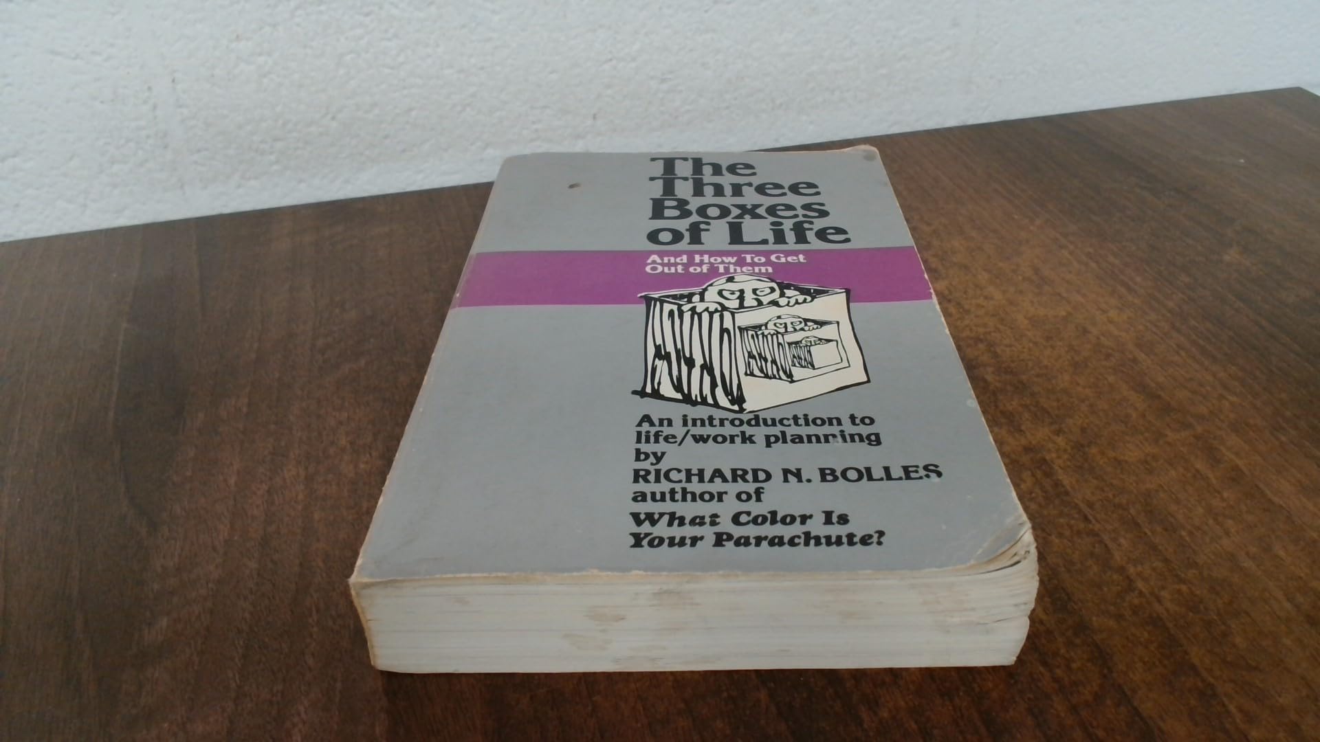 The Three Boxes of Life and How to Get Out of Them: An Introduction to Life/Work Planning