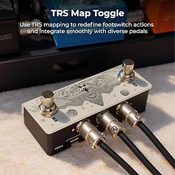 Animus Dual Momentary Footswitch Controller for Guitar Pedals, 1TRS&2TS Outputs to Control Up to 3 Pedals, Passive TRS A/B Mapping Switch, Includes TRS Cable(Animus Khaki)