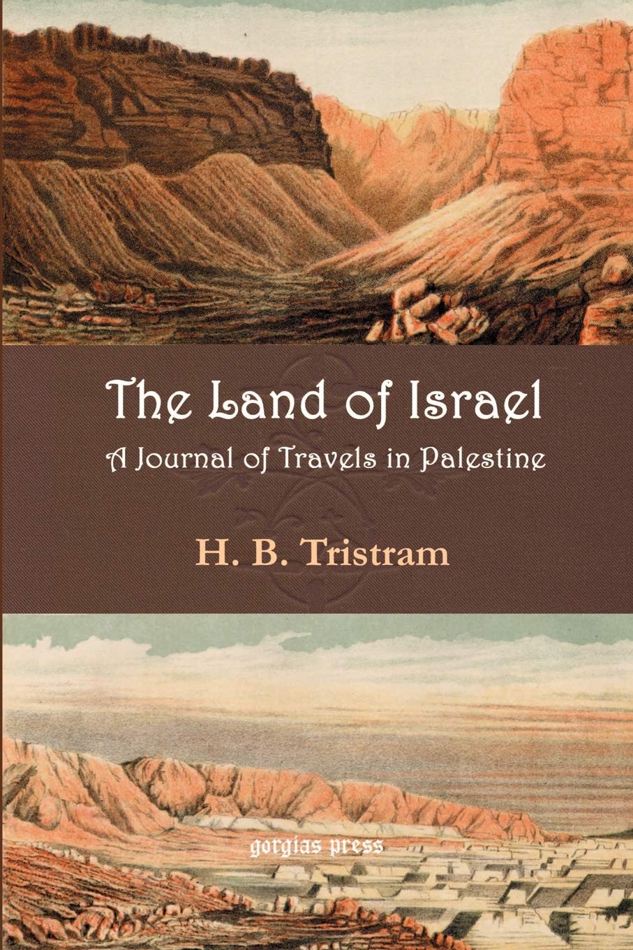 The Land of Israel: A Journal of Travel in Palestine      Paperback – October 15, 2002