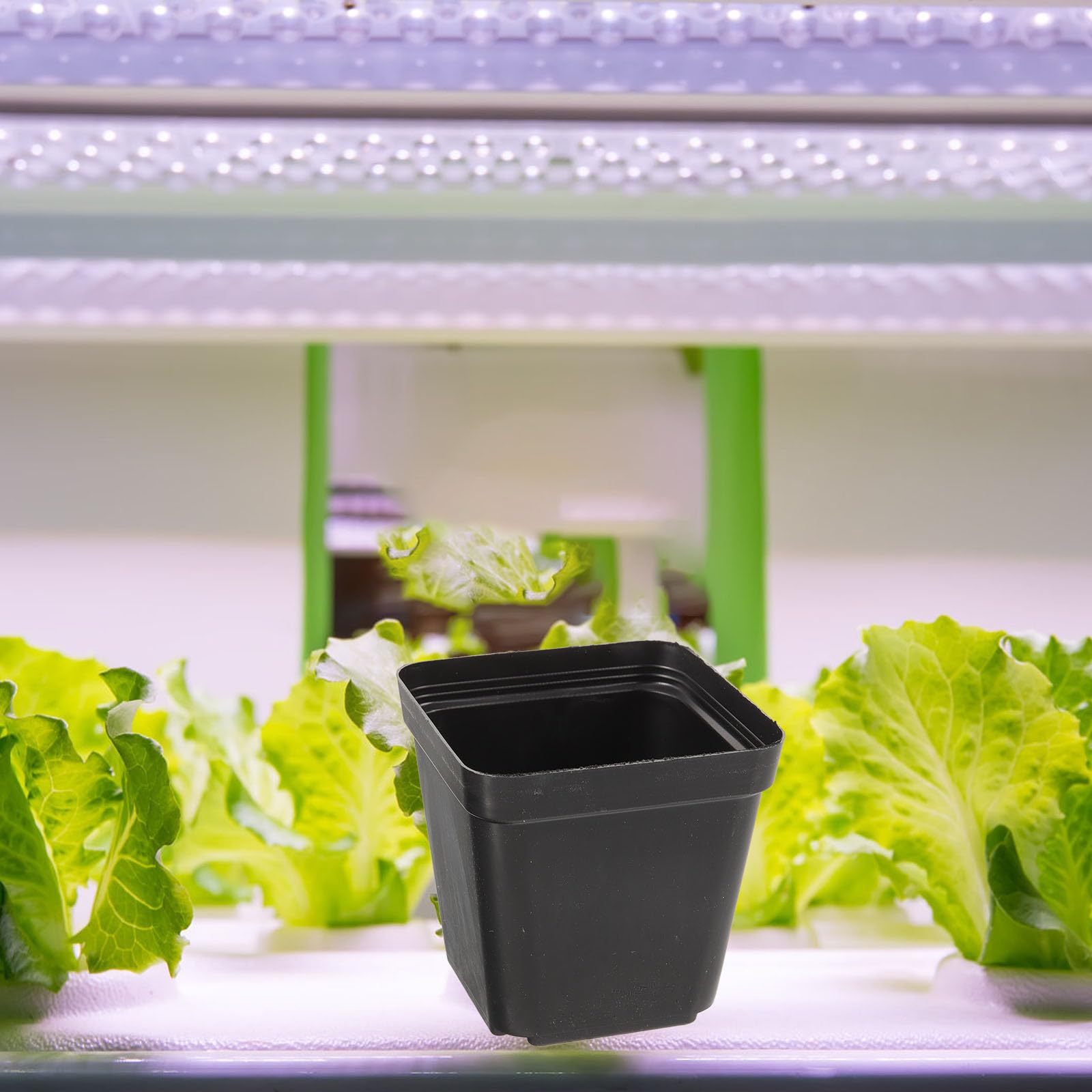 Housoutil 120 Pièces Pot Carré en Plastique Noir Léger avec Drainage, Réutilisable pour Semis et Culture de Succulentes, pour Jardinage et Plantation Moderne