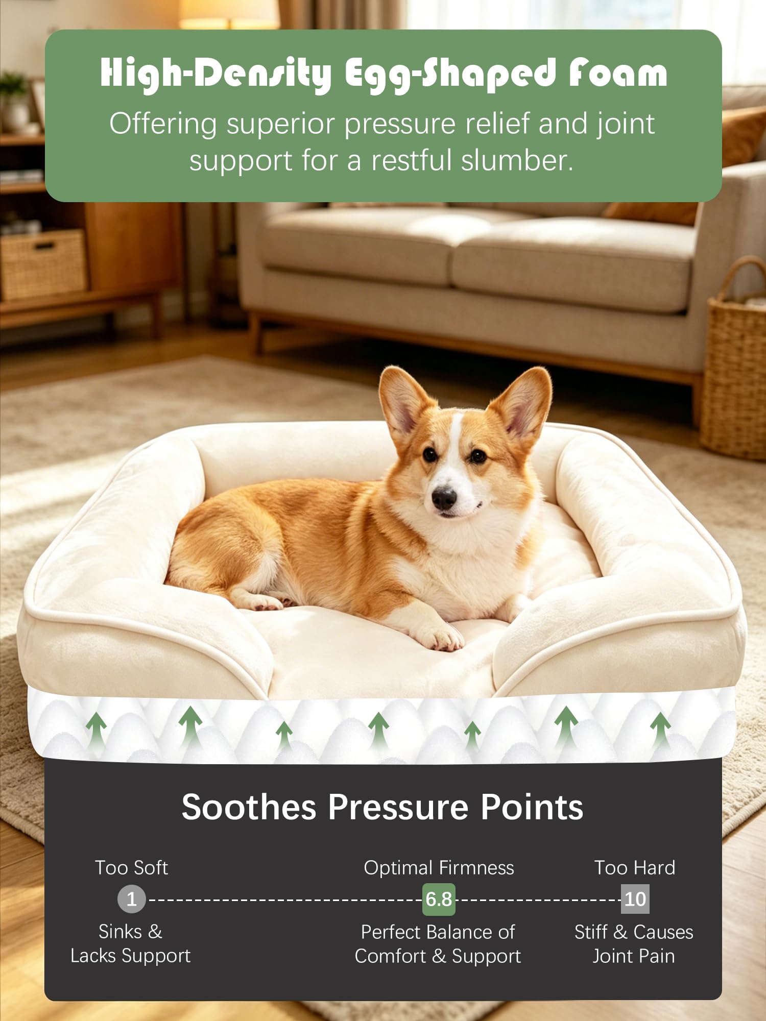 Spotted Play Orthopedic Dog Bed with Sides - Sofa Beds for Medium Dogs, Supportive Foam Pet Couch Bed with Washable Removable Cover, Waterproof Lining and Non-Slip Bottom, Ivory - M view 4